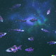 Dall·e 2022 09 27 23.14.50   3d beautiful fish swimming in a ocean that look like a galaxy