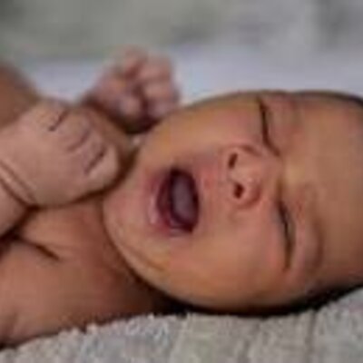 Timeline: prenatal timeline