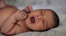 Timeline: prenatal timeline