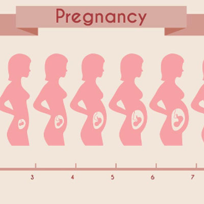 Timeline: pregnancy