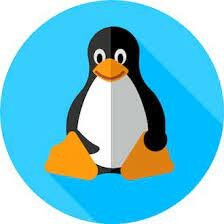 El inicio de Linus Torvalds en su trabajo con Linux