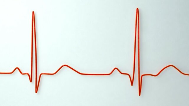 First Trimester Weeks 7-8