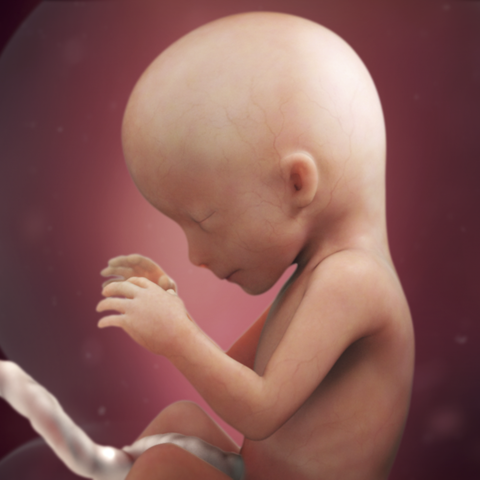 Week 16