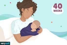 3rd Trimester -Week 38-40