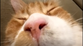 Timeline: Time capsule 1990's