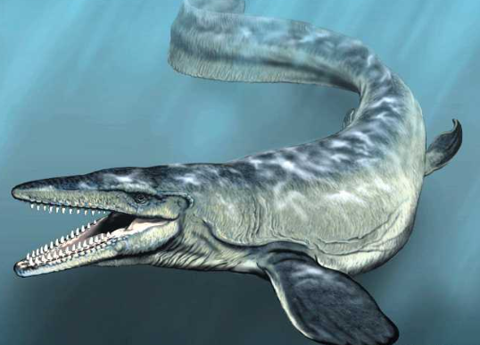 DOMINI DELS DINOSAURES