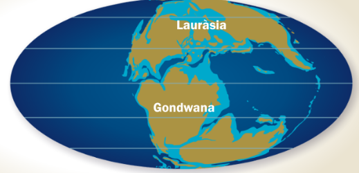 FRAGMENTACIÓ PANGEA
