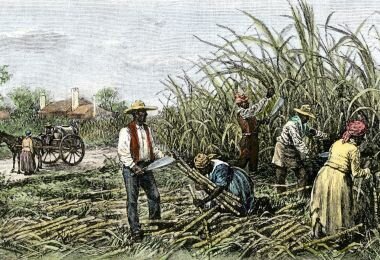 Slaves Brought to Colonies