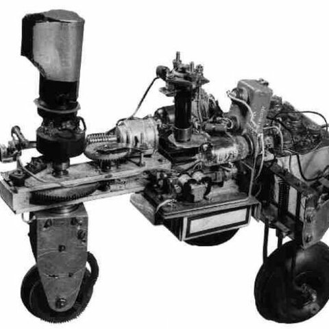 La tortue cybernétique