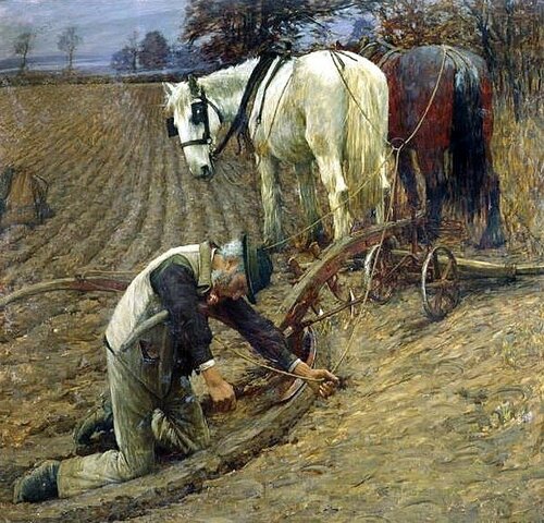 First crops planted in the new world