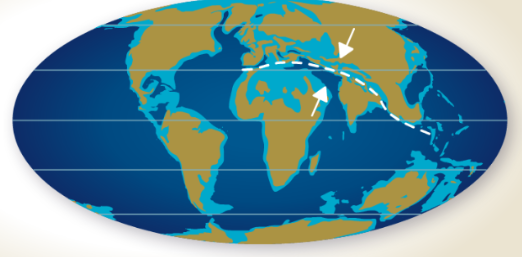 DISTRIBUCIÓ CONTINENTAL