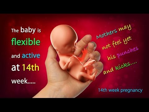 week 14