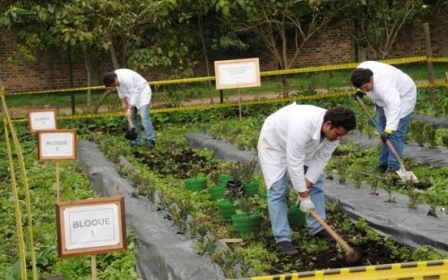 CREACION DE ESPECIALIZACIONES EN MODALIDAD VIRTUAL Y PROGRAMAS DE CIENCIAS AGROPECUARIAS