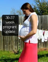 Weeks 36 to 37