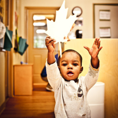 24-30 Months "Cognitive"