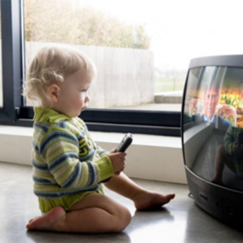 24-30 Months Cognitive Development