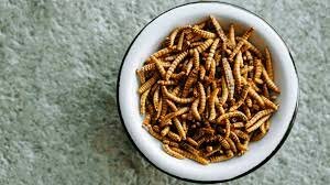 Diet of the Worms