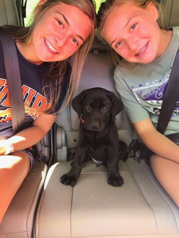 Mi familia compraron un perro