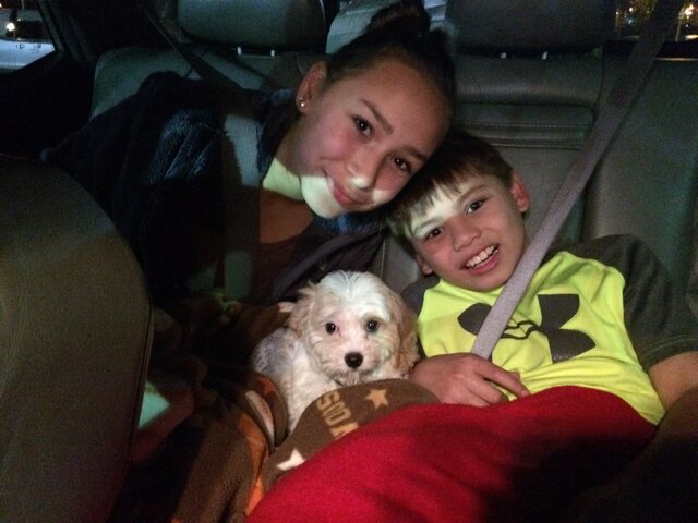 Nous avons Eu Aspen notre premier chien