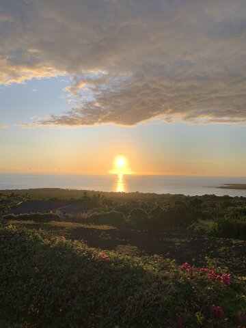 Quand j'étais en classe sept, je suis allé à Hawaii