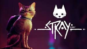 stray