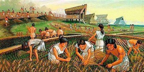 IMPORTANCIA DE LA AGRICULTURA COMO FUENTE DE ALIMENTOS