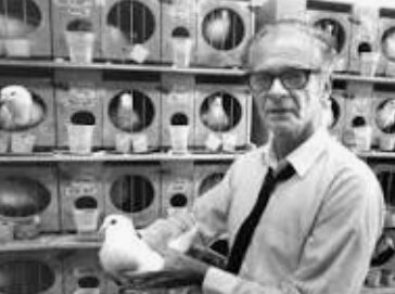 Burrhus Frederic Skinner(1904-1990)