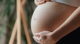 Timeline: prenatal development- mother