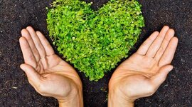 Timeline: Cronología de Educación Ambiental