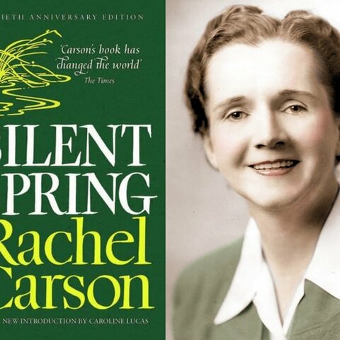 Rachel Carson, importante figura reivindicativa del contra el cambio climático
