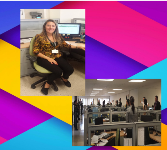 Funcionaria pública