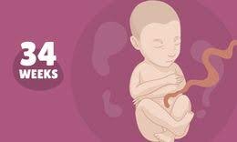 baby week 34