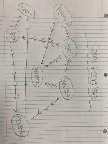 (5) An original, creative visual representation (hand drawn or digital) of your Keystone Species membership in a major food web
