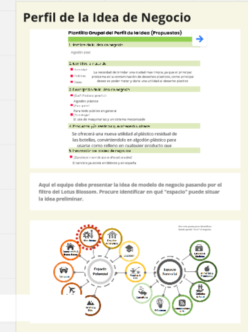 Perfil de la idea de Negocio