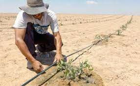 Sistema de Riego, Israel