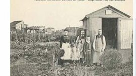 Timeline: historia de los huertos urbanos