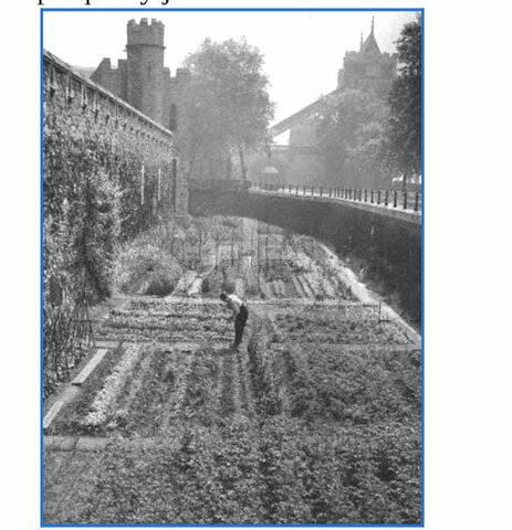 cultivos en espacios abiertos