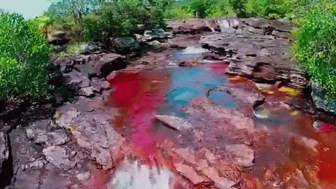 Conocer parte de Colombia