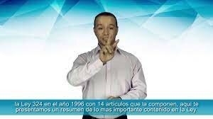 LEY 324 DE 1996