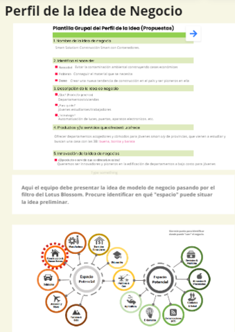 Perfil de la idea del Negocio