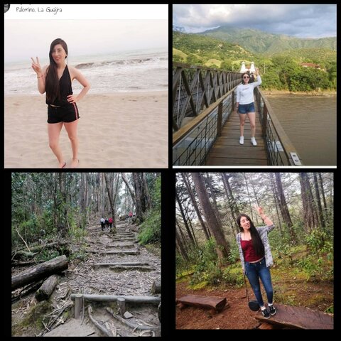 Inteligencia naturalista