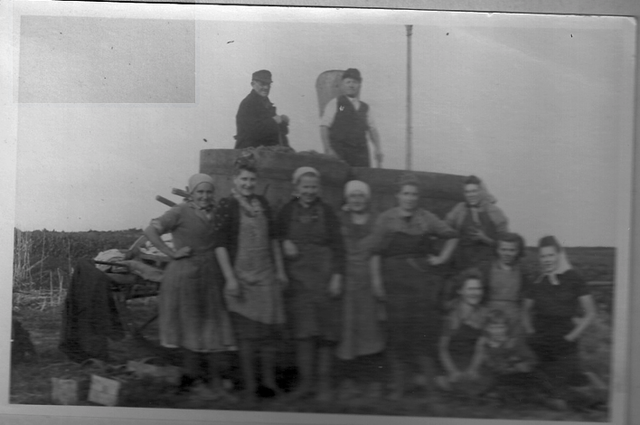 Marga's house is bombed and Worms is evacuated.