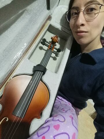 Inteligencia musical