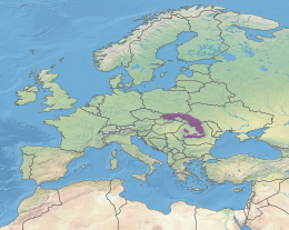 Russi fino ai Carpazi