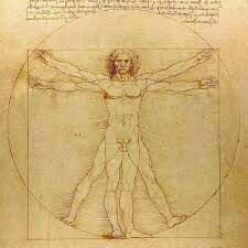 L'home de vitruvi (DaVinci)