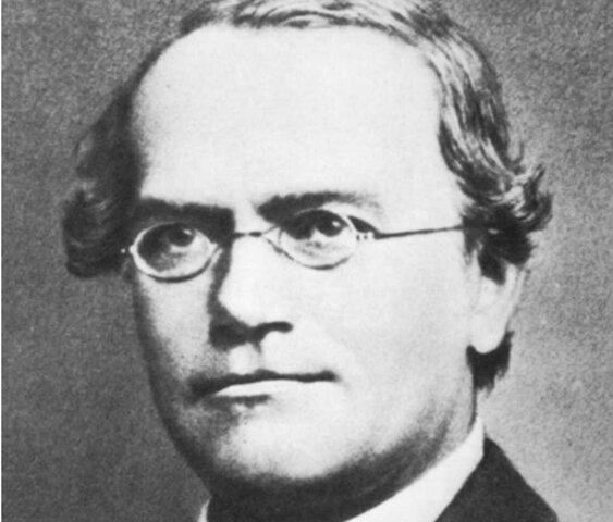 Father of genetics