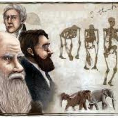 Timeline: Postura de la evolución