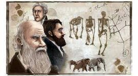 Timeline: Postura de la evolución