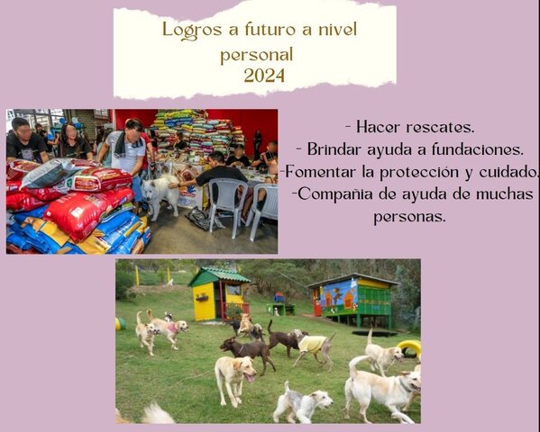 Logros de futuro a nivel personal