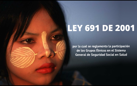 Ley 691